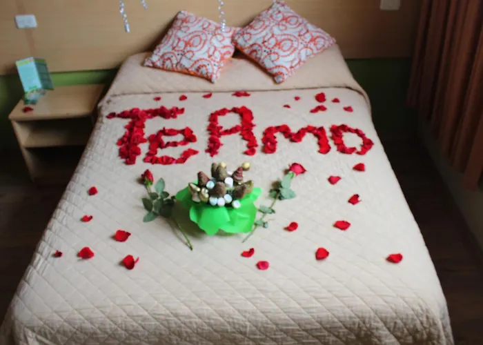 Hostal Terra 3
