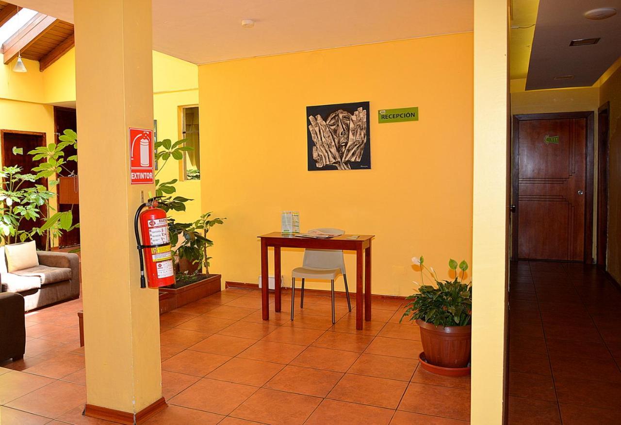 Hostal Terra 3