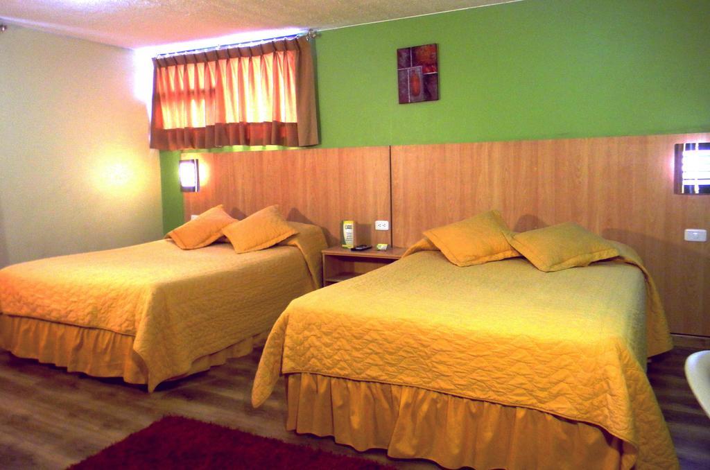 Hostal Terra 3
