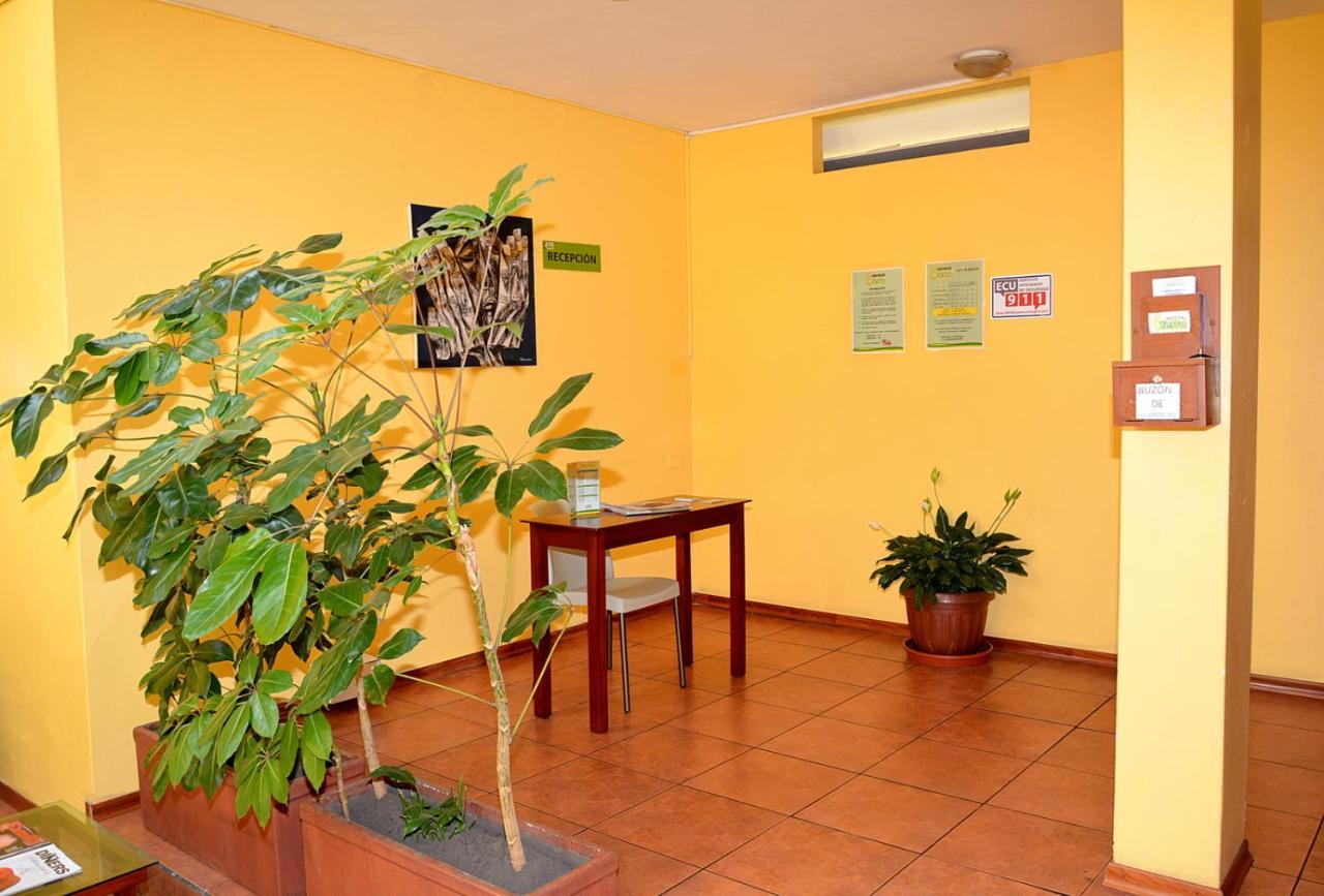 Hostal Terra 3 *
